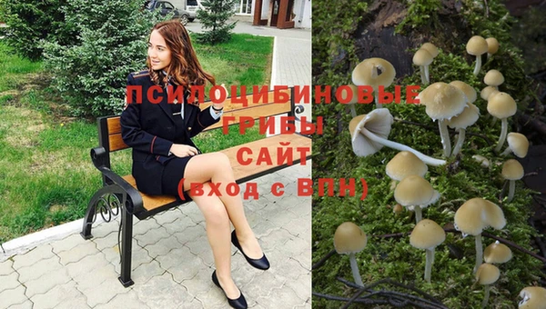 мет Алексеевка