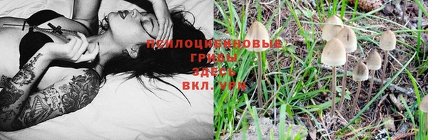 а пвп мука Заполярный
