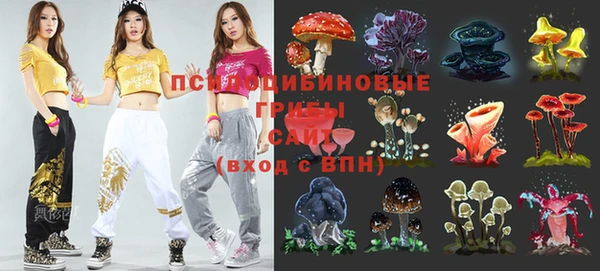 бутират Алексин