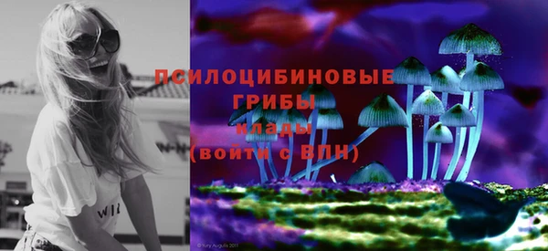 ГАЛЛЮЦИНОГЕННЫЕ ГРИБЫ Арсеньев